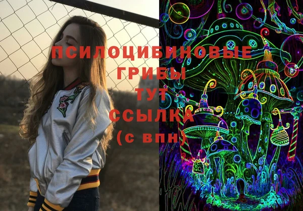 PSILOCYBIN Горно-Алтайск